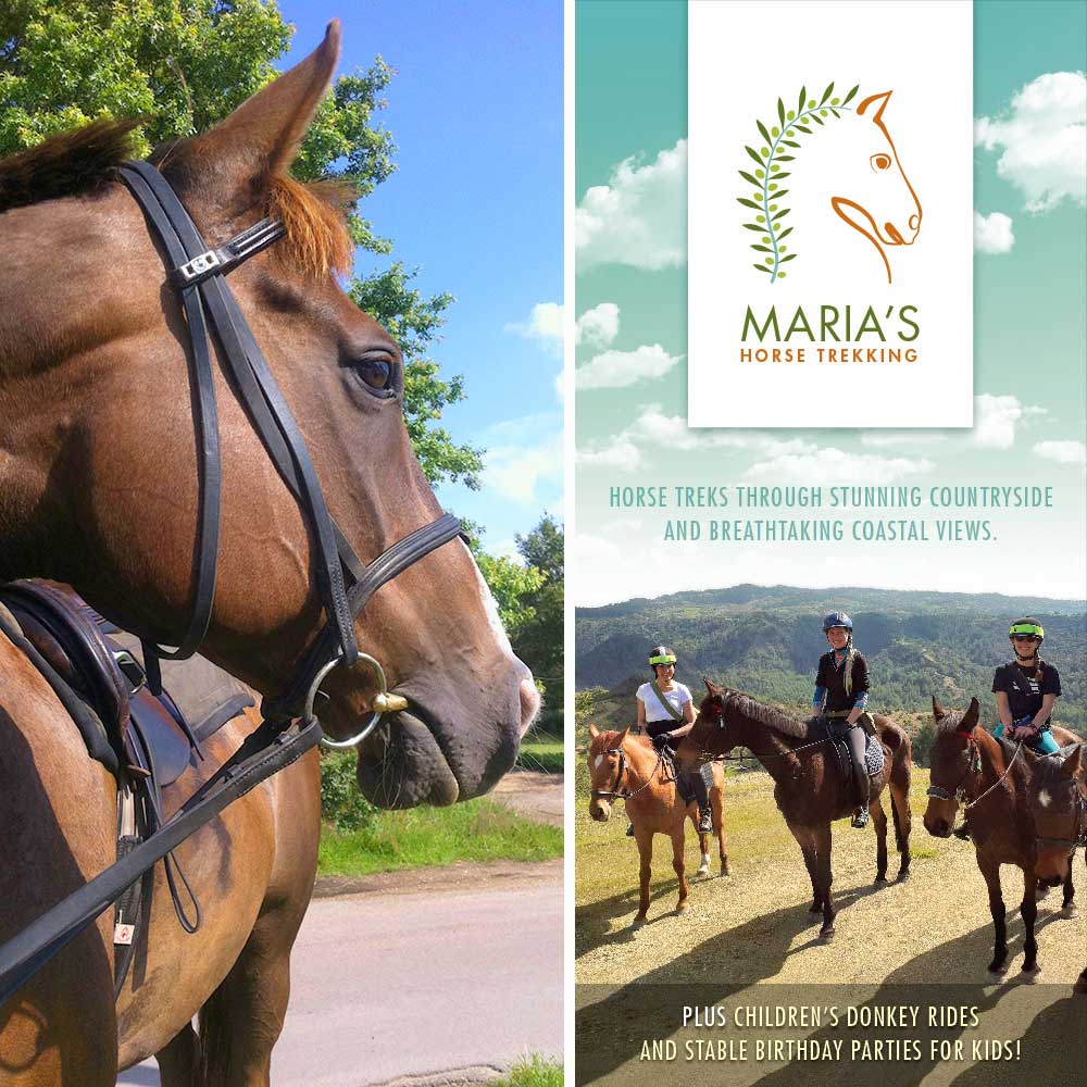 Leaflet for Maria's Horses in Cyprus